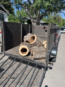 tree trunks in trailer after storm damage clean up