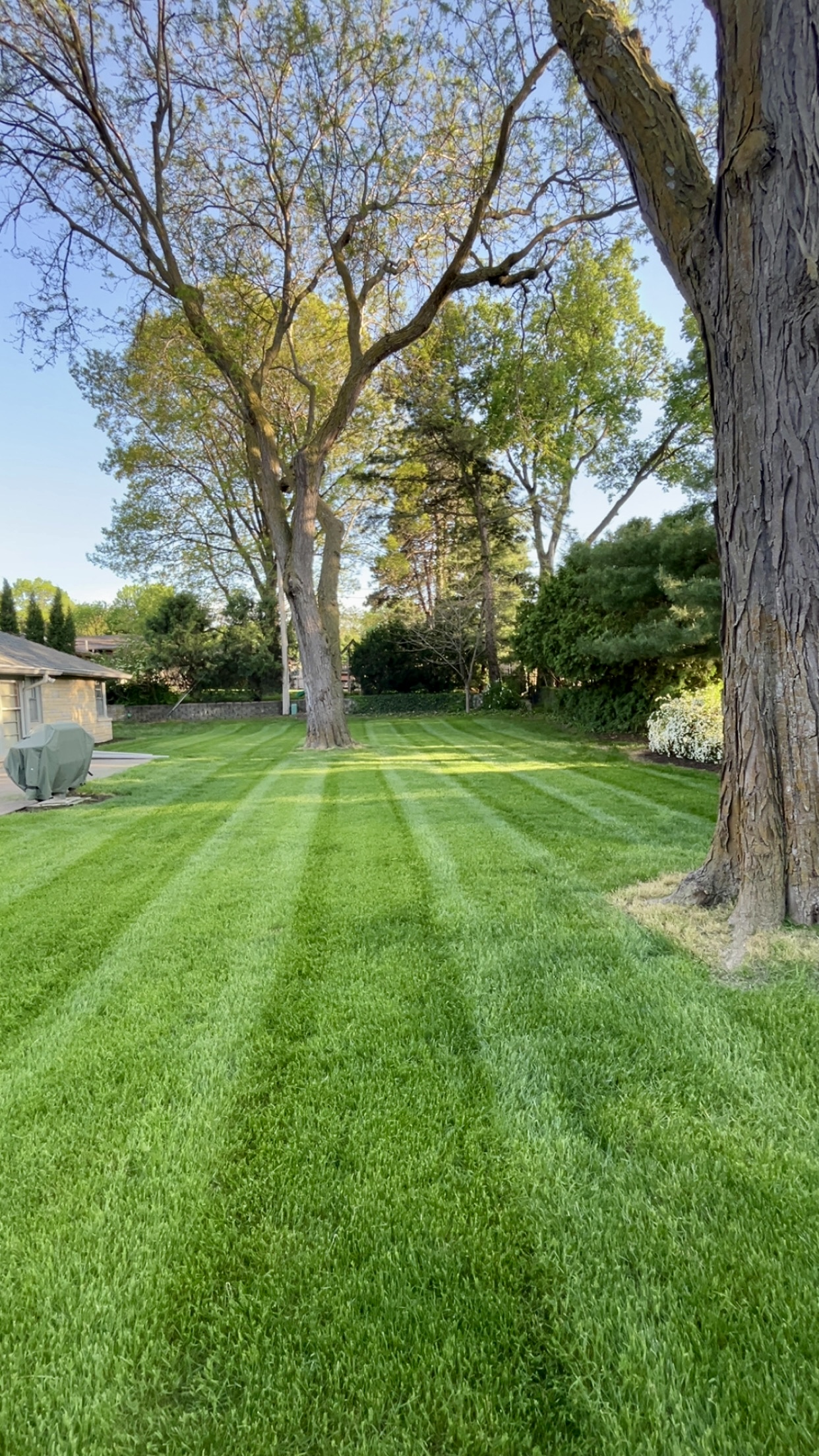 lawn care and grass cutting at a commercial duplex