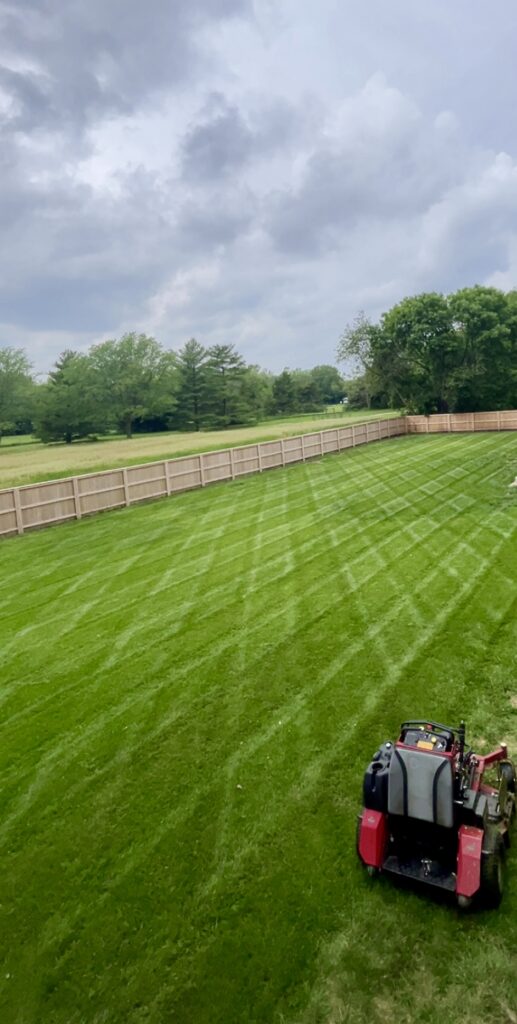 large lot lawn mowing and seeding