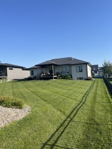 fresh beautiful lawn stripped to perfection after a mowing