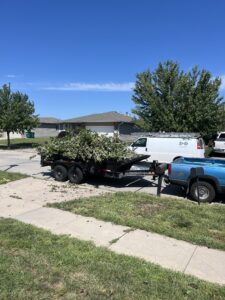 lawn and limb clean up