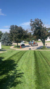 lawn care perfection