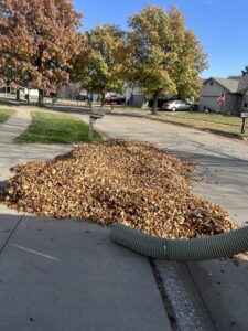 leaf pile ready for removal